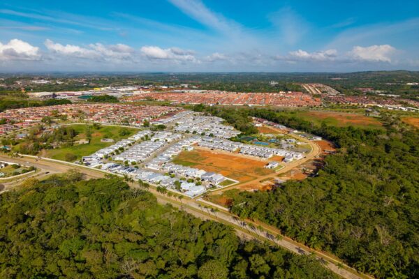 DJI_20260225085134_0448_D